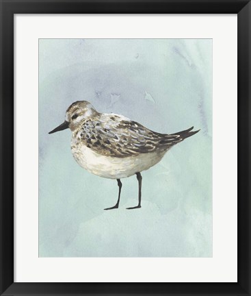 Framed Watercolor Beach Bird V Print