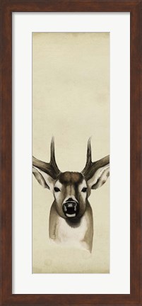Framed Triptych Whitetail II Print