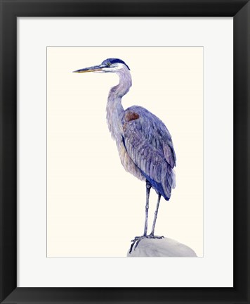 Framed Heron Study I Print