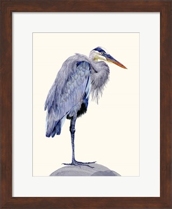 Framed Heron Study II Print