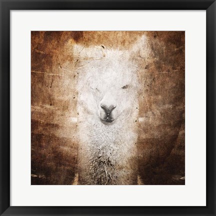 Framed Llama Print