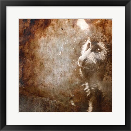 Framed Monkey Print