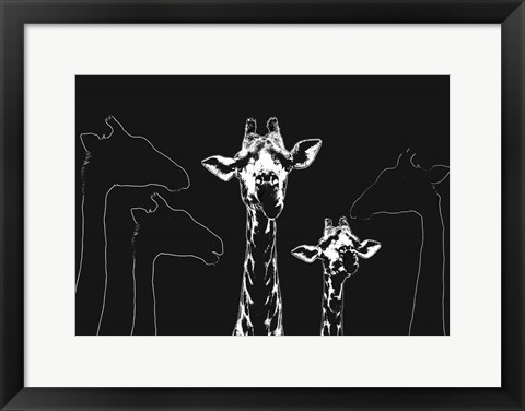 Framed Mammals Print