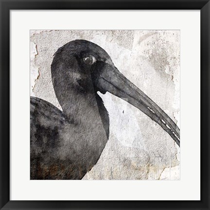 Framed Birdy Print