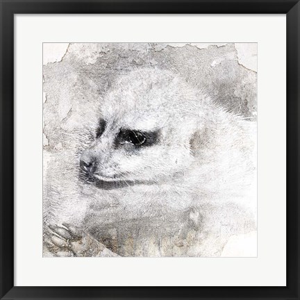 Framed Timon Print