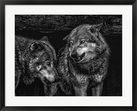 Framed Wolfpack Black &amp; White Print