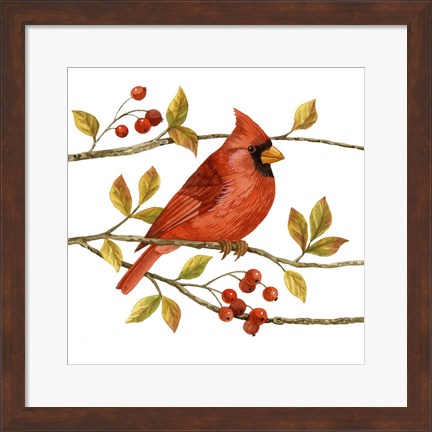 Framed Birds &amp; Berries III Print