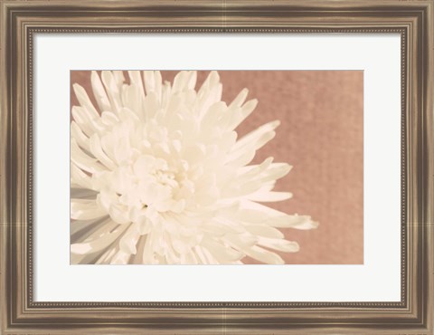 Framed Blush Burst I Print