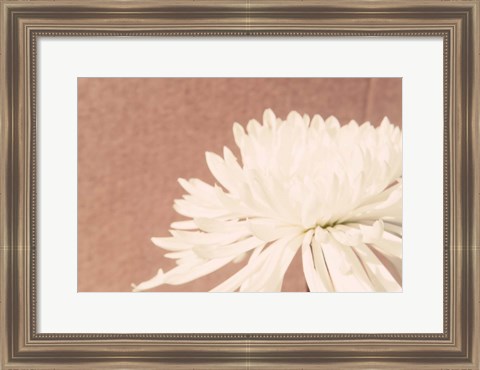 Framed Blush Burst II Print