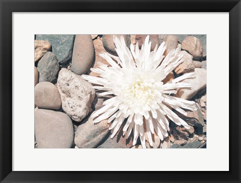 Framed Pebble Beach II Print