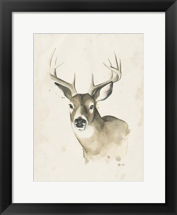 Framed Watchful Woods II Print