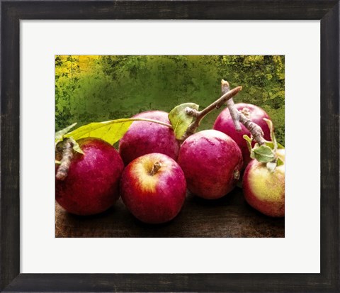 Framed Harvest I Print