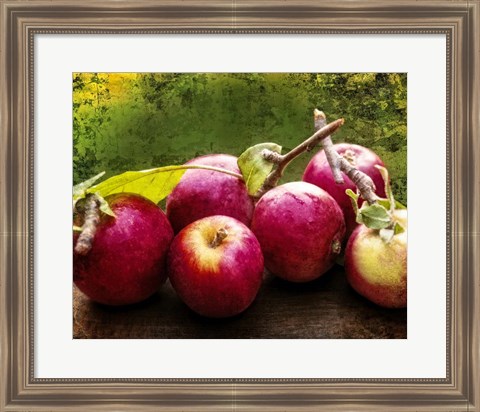 Framed Harvest I Print