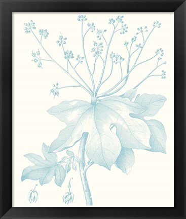 Framed Botanical Study in Spa I Print