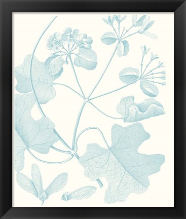 Framed Botanical Study in Spa II Print