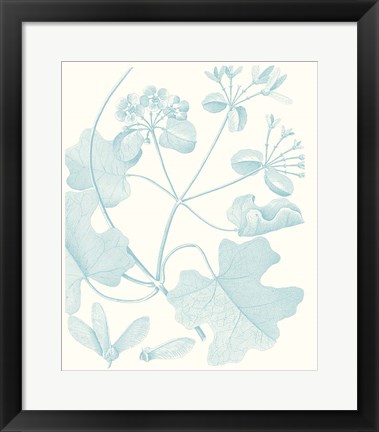 Framed Botanical Study in Spa II Print