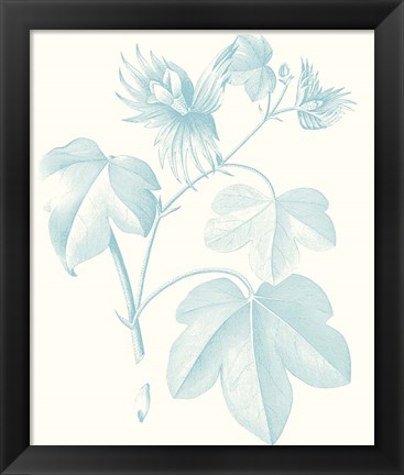 Framed Botanical Study in Spa IV Print