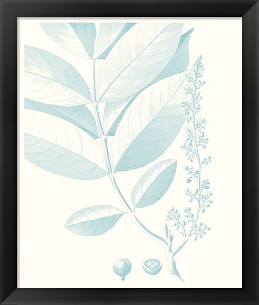 Framed Botanical Study in Spa VI Print