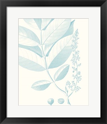 Framed Botanical Study in Spa VI Print