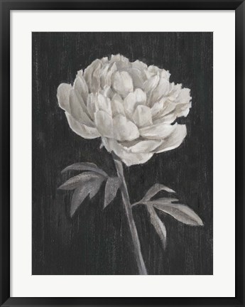 Framed Black and White Flowers I Print