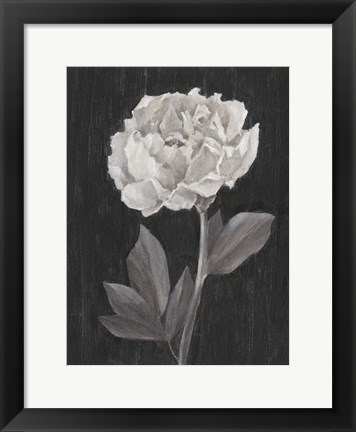 Framed Black and White Flowers IV Print