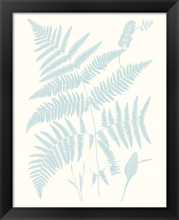 Framed Serene Ferns I Print