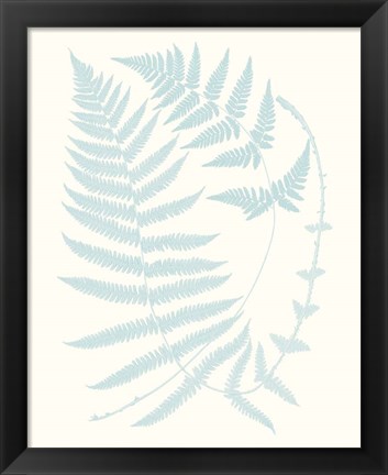 Framed Serene Ferns III Print