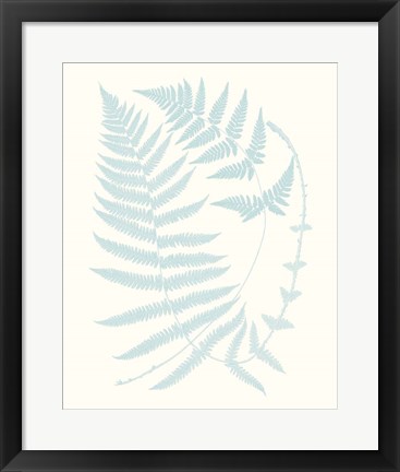 Framed Serene Ferns III Print