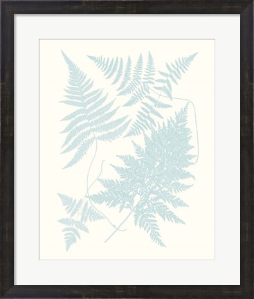 Framed Serene Ferns IV Print