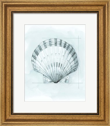 Framed Coastal Shell Schematic III Print