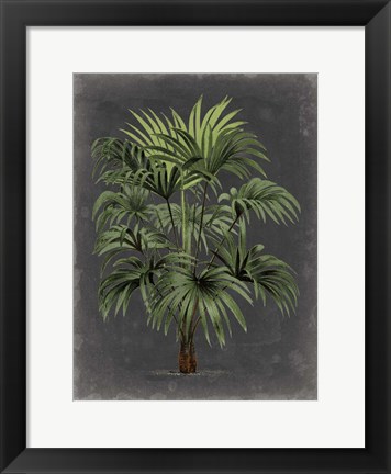 Framed Dramatic Palm I Print