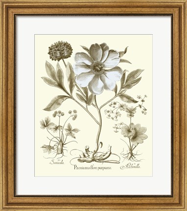 Framed Spa Peonies II Print