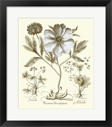 Framed Spa Peonies II Print