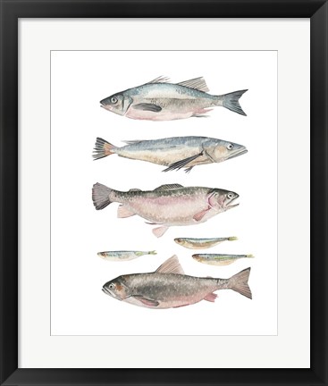 Framed Fish Composition I Print