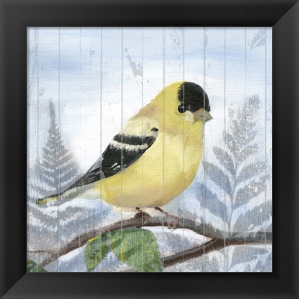 Framed Eastern Songbird III Print