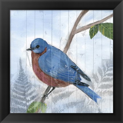 Framed Eastern Songbird IV Print