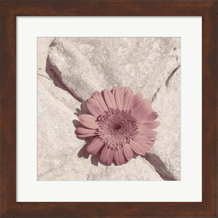 Framed Stone Blossom II Print