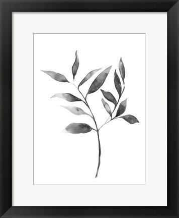 Framed Brume Botanical II Print