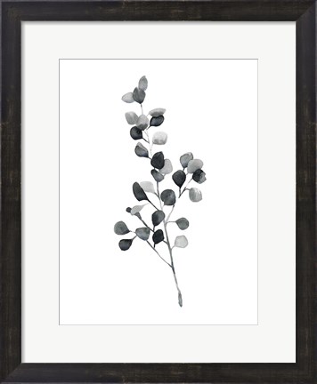 Framed Brume Botanical III Print