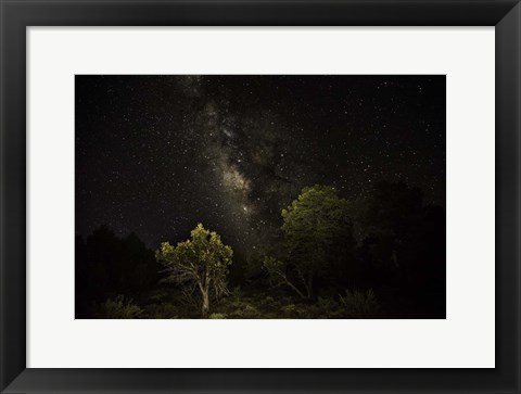 Framed Stargazer 2 Print