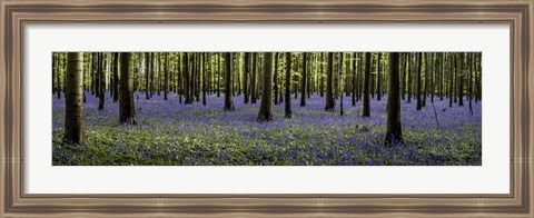 Framed Fairytale Forest Panorama Print