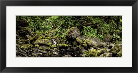 Framed Bunch Falls Print