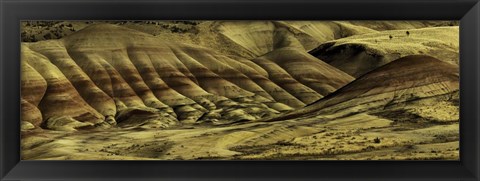 Framed Painted Hills Print