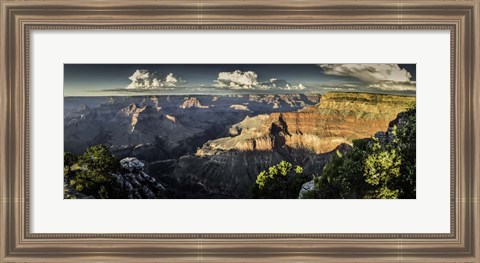 Framed Grand Canyon South 8 Print