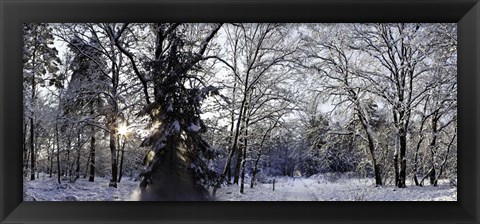 Framed Falling Snow Print