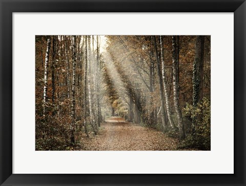 Framed Autumn Sun Print