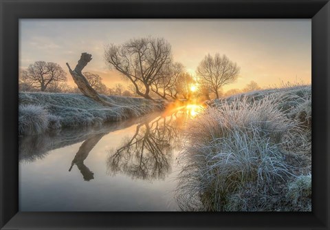 Framed Sunrise Burns the Early Morning Mist off Beverly Brook Richmond Park 2 Print