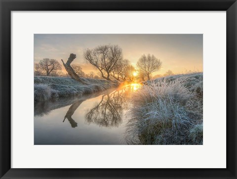 Framed Sunrise Burns the Early Morning Mist off Beverly Brook Richmond Park 2 Print