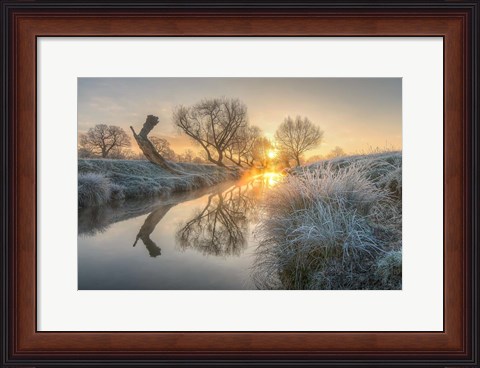 Framed Sunrise Burns the Early Morning Mist off Beverly Brook Richmond Park 2 Print