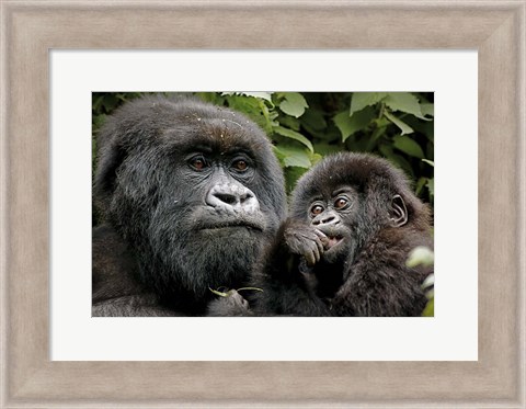 Framed Mother and Baby Print